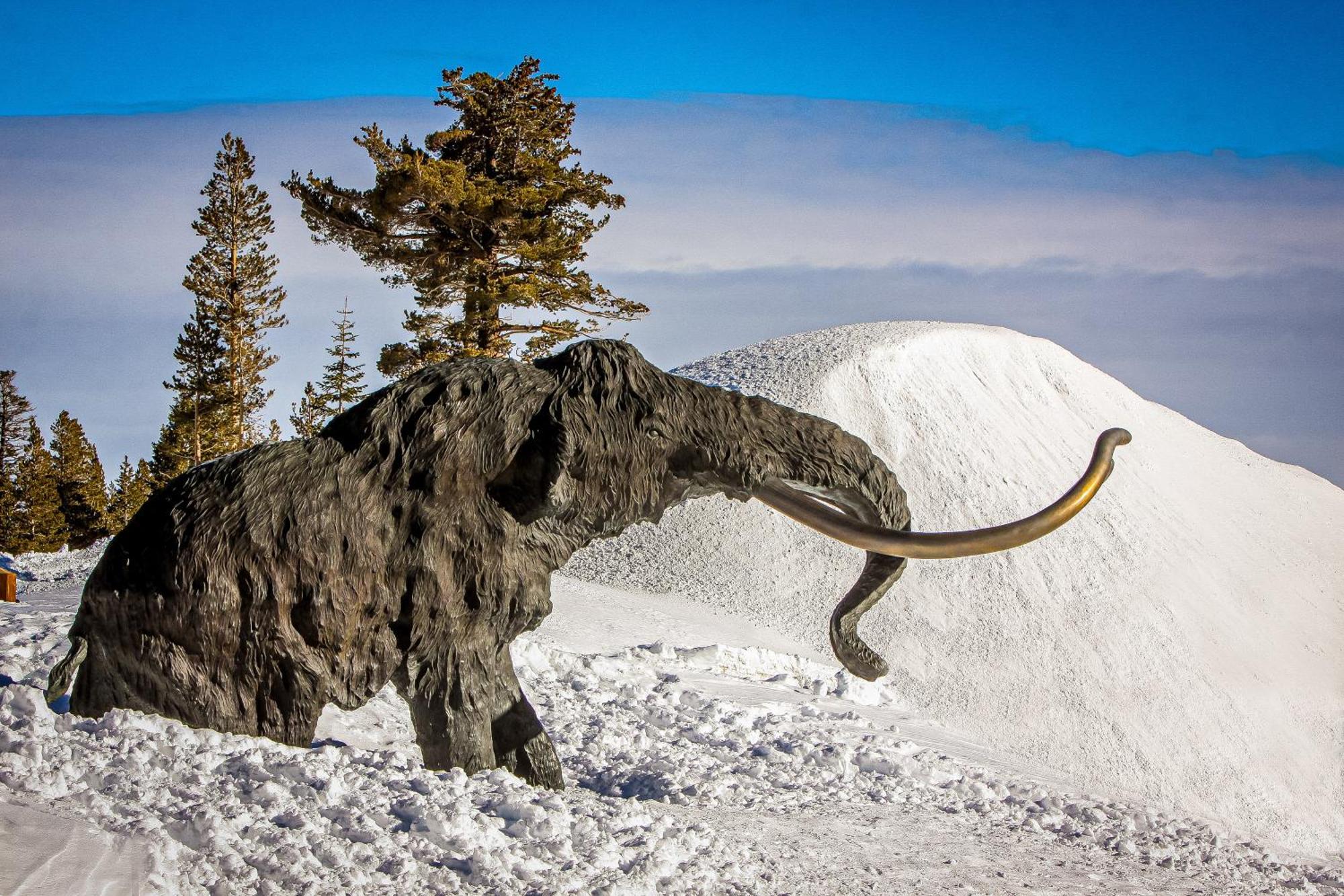 Mammoth Ski & Racquet Club #131 Маммот Лейкс Экстерьер фото